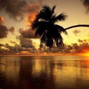 Regen09's Stream profile image