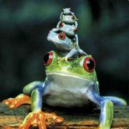 BluJ's Stream profile image