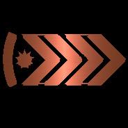 Bronze Elite Master's Stream profile image