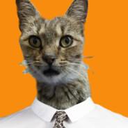 MadeCat*,.,*'s Stream profile image
