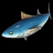 Not Tuna's - Steam avatar