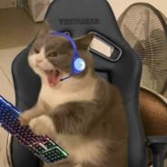 steffiooo's Stream profile image