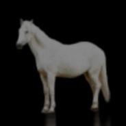 correntino's - Steam avatar