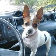 kamilet7's Stream profile image
