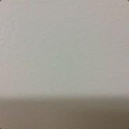 sirwhat?'s Stream profile image