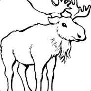 White_Moose's Stream profile image