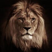 Dray's Stream profile image
