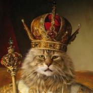 the lsoer's Stream profile image