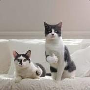 Hakka man's Stream profile image