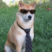 Perro Pero De Raza's Stream profile image