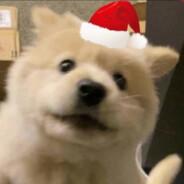 扶摇's Stream profile image