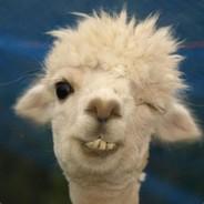 Gneisenau HK's Stream profile image