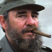 Fidel Castro's Stream profile image