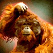 Drewan's Stream profile image