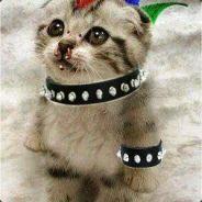Der Witzbold's Stream profile image