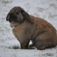 EATER OF SNAILS's - Steam avatar