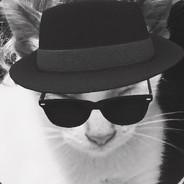 RockmanX22's Stream profile image