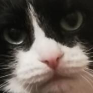 QFty's Stream profile image