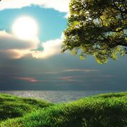✪ TearDrop's Stream profile image