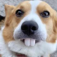 IronicJuice's Stream profile image