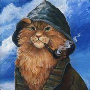yarusich's Stream profile image