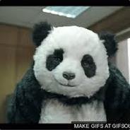 ForestGo's Stream profile image