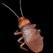 DerKernsen's Stream profile image