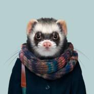 DJFerret☾✰'s - Steam avatar