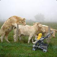 Futuwwa's Stream profile image
