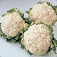 Sisikei's Stream profile image