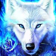 CK's Stream profile image