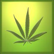 robson's - Steam avatar