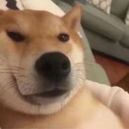 重生之我在世界尽头唱跳rap篮球's Stream profile image