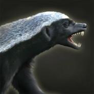 Honey Badger's Stream profile image