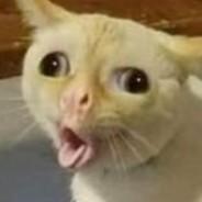 Egg of Swegg's Stream profile image
