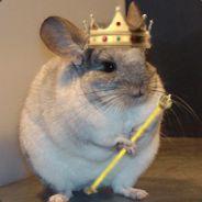 Chinchillamaster's Stream profile image