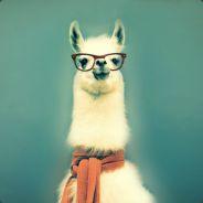 DaBahamaLlama's Stream profile image