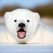 Baby Polar Bear's - Steam avatar