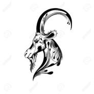Roka322's Stream profile image