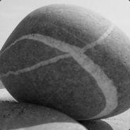 Stein's - Steam avatar