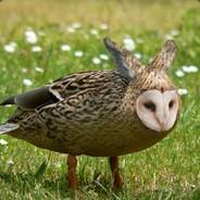 SaintFrost's Stream profile image