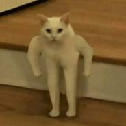 Benny's Stream profile image