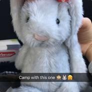 Cloudy the Grey Bunny's - Steam avatar