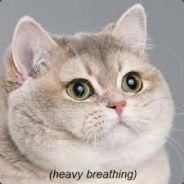 Juanso Kaguaii's Stream profile image