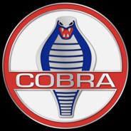 CoBra's - Steam avatar