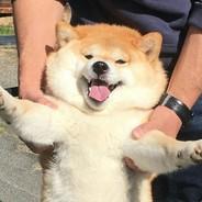 TangMyun's Stream profile image