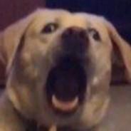 bradenburt25's - Steam avatar