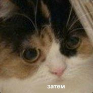 -(-0-0-)-+(,_o)+$(*^_^*)$'s - Steam avatar