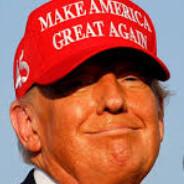 D Trump's Stream profile image