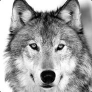 Schattenwolf's Stream profile image